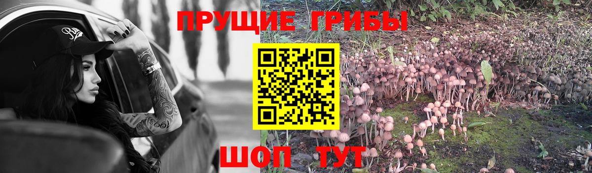 Галлюциногенные грибы Magic Shrooms  Вход с VPN  Гулькевичи 