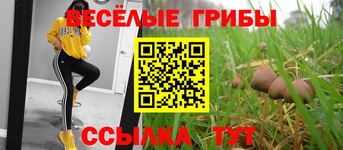 Бошки Шишки  Меф МЯУ МЯУ  Вход с VPN  Метамфетамин  Лсд 25  Гулькевичи  Меф   КОКАИН  ГАШИШ 